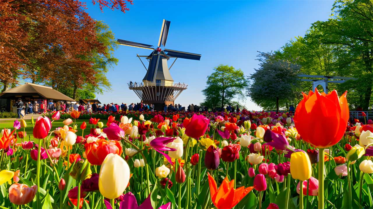 Du ngoạn châu Âu 2024: Đức - Hà Lan - Bỉ - Pháp 9N8Đ